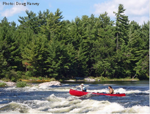 Paddling French River