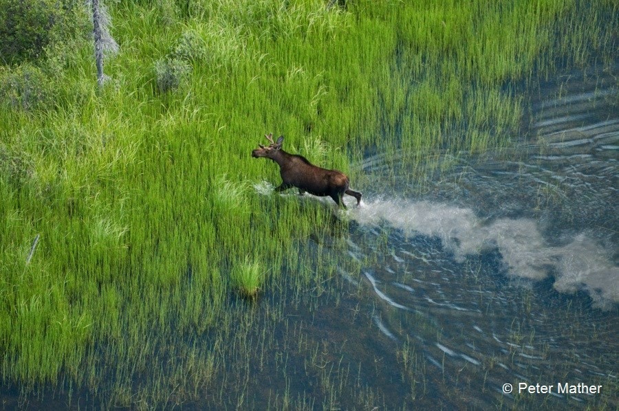 South Nahanni River