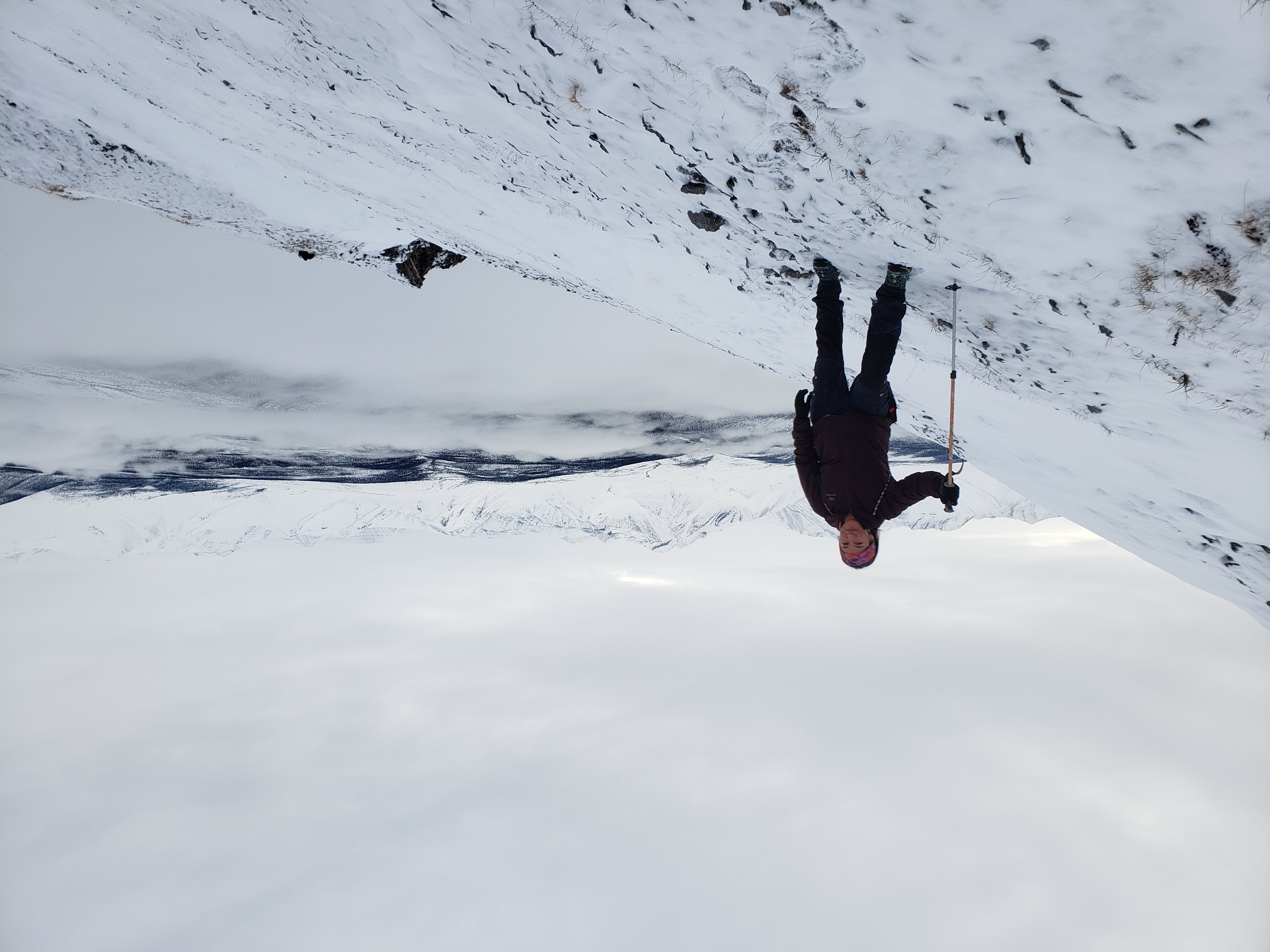 Bobbi Rose Koe on Royal Mountain