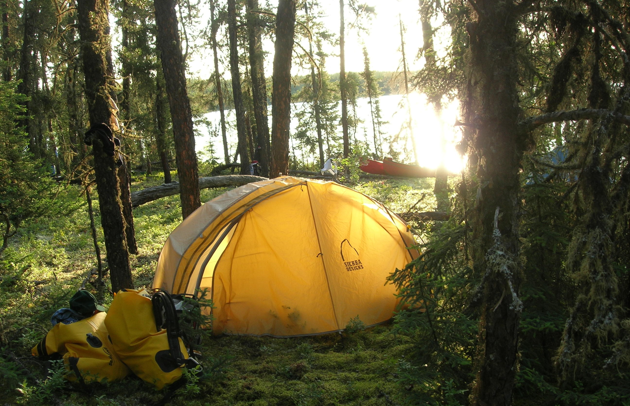 Une tente illuminée par les rayons du soleil dans une forêt dense.