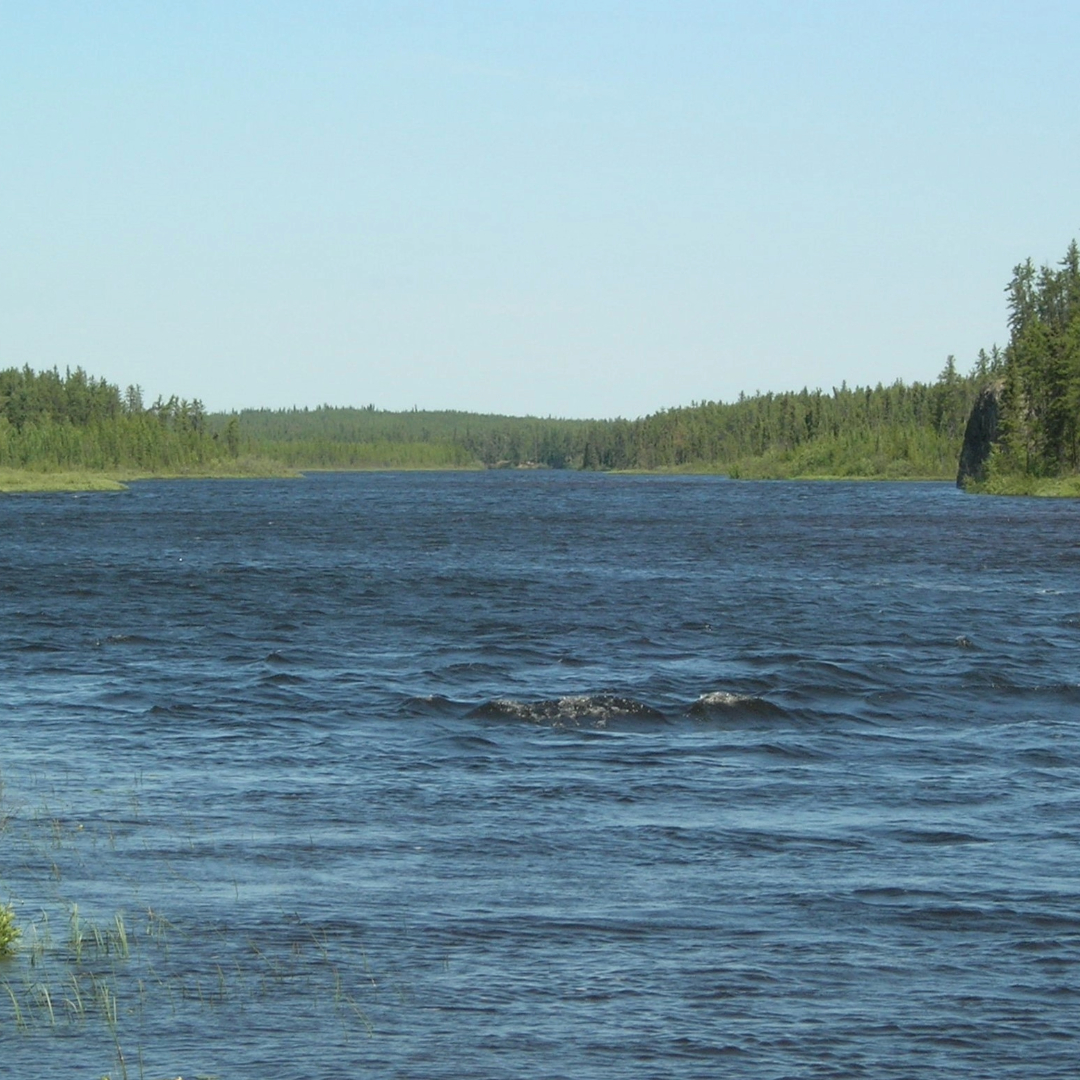 Une rivière calme par une journée ensoleillée.