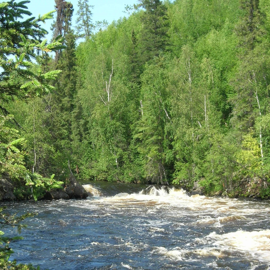 Des rapides dans une section étroite de la rivière.
