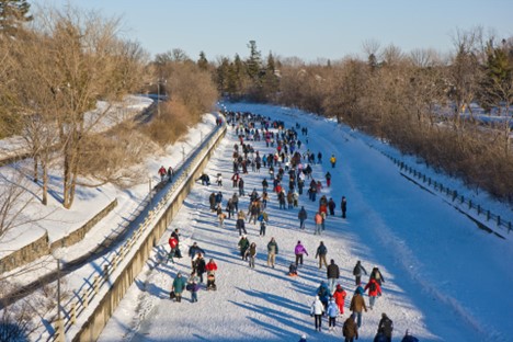 Ice skaters enjoying the Rideau Canal during the winter.