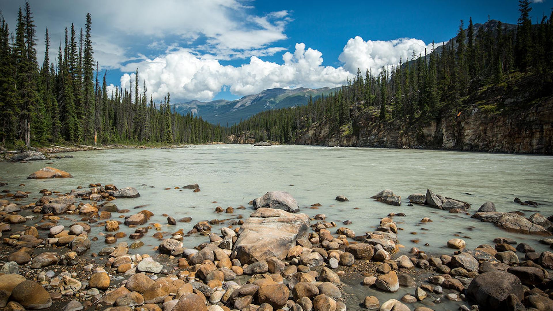 Scenic view from the rocky shores of the Athabasca River 