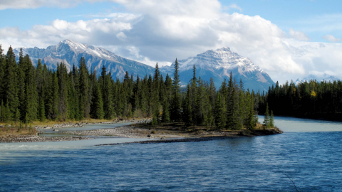 Athabasca LAND river mountains trees scenic