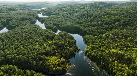 Vue aérienne de la rivière Mattawa, en amont des rapides Campion.
