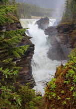 Athabasca Falls is one of many popular stops along the Athabasca River Photo: Rogier Gruys