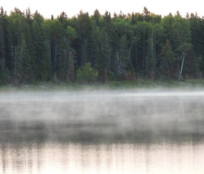 Calm water body with a thin layer of mist and dark trees. / Cours d'eau calme avec une fine couche de brume et des arbres foncés.