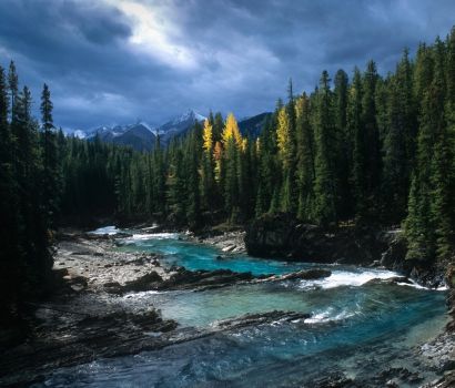 Un rivière rocailleuse par une journée de tempête. Un rayon de lumière éclaire des mélèzes.