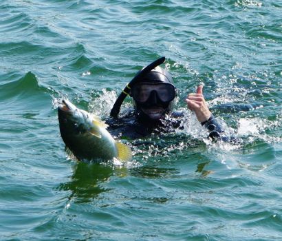 Pêche au harpon de l’achigan à petite bouche, une espèce envahissante, dans le lac Clear à Noozaawinijing, ou Wagiiwing, au Manitoba. Un programme de la Première Nation des Ojibway de Keeseekoowenin et de Parcs Canada.