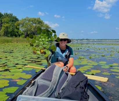 Emily Airhart, étudiante des Services environnementaux du canal Rideau, avec un gros plant de châtaigne d'eau européenne arraché au parc Belle North, à Kingston. 