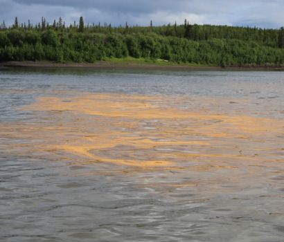 Rivière Peel à 8 milles (Andrea Czarnecki, GTNO; Juillet 2020)