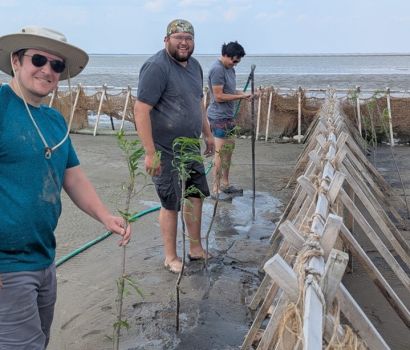 Chris Adams (à gauche), Joseph Sutherland (au centre) et Linden McCorrister (à droite) plantant des saules sur le site de restauration. 