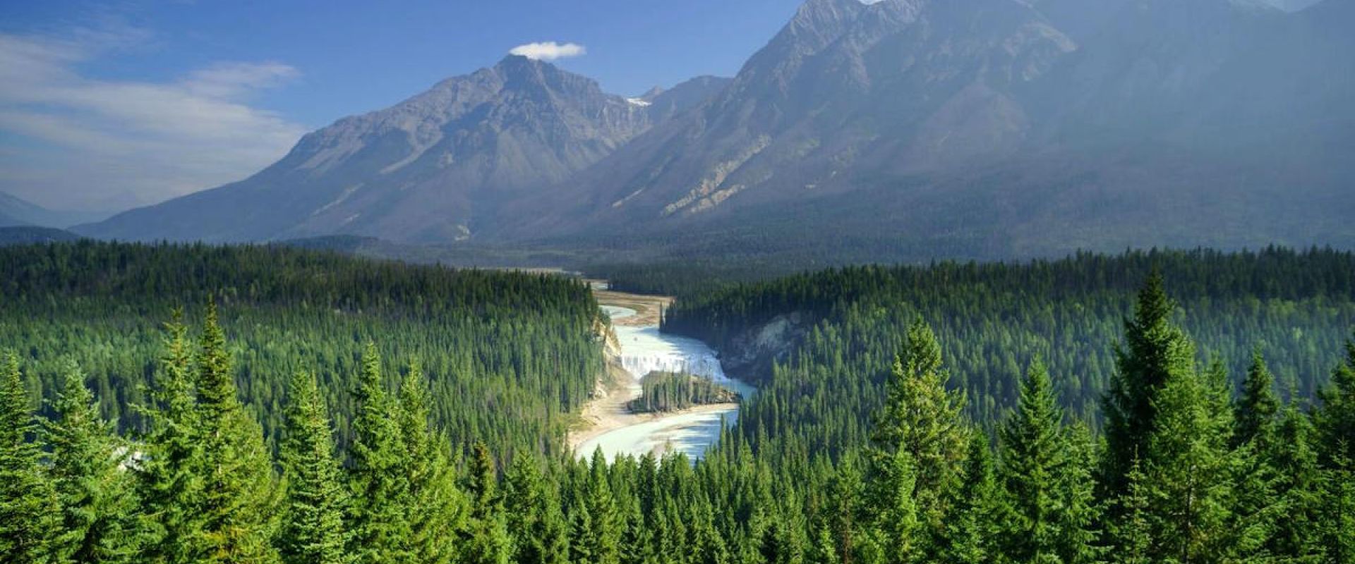 Scenic aerial view of the Kicking Horse River surrounded by pine trees in the foreground of a mountain.